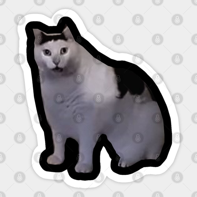 Huh Cat Meme Sticker by LaroyaloTees